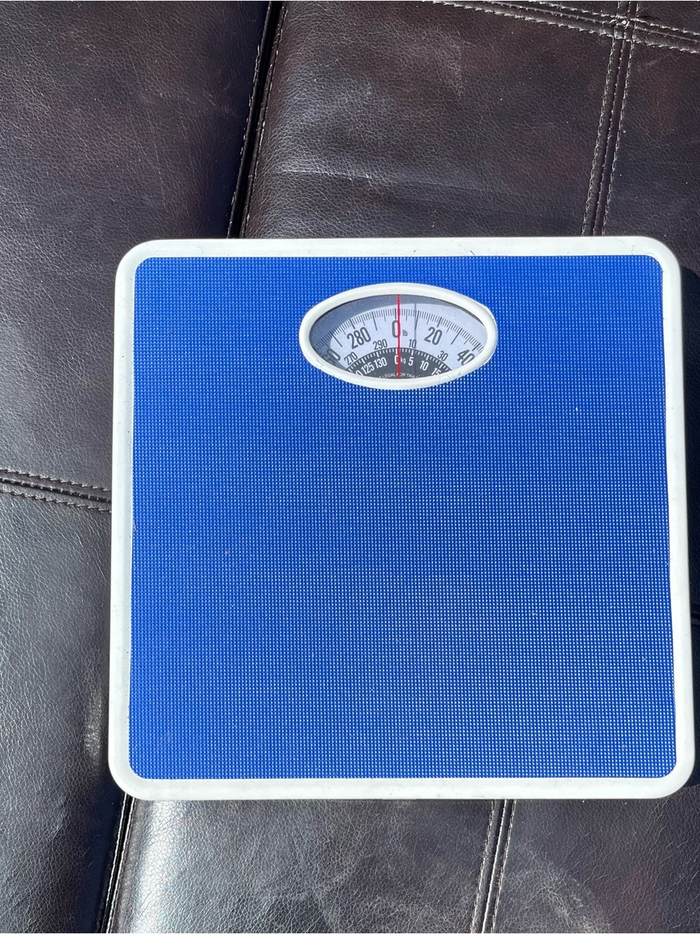 Blue Analog Bathroom Scale with White Trim